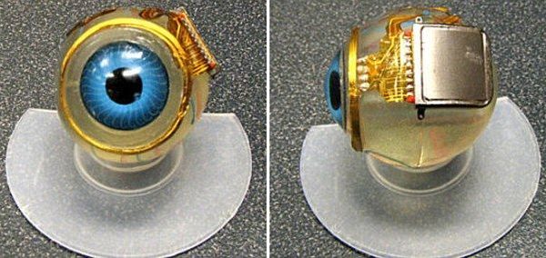 Bionic eye