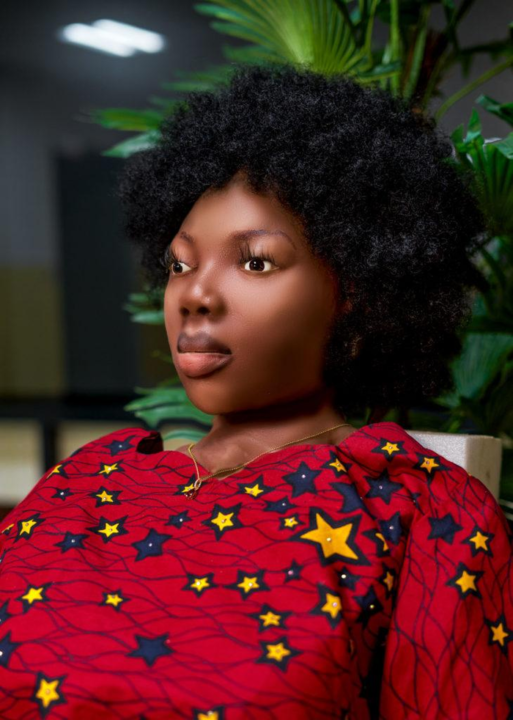 Omeife, the Africa’s first humanoid robot